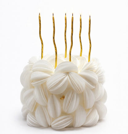 Rice Paper Cake